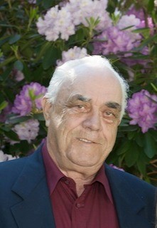 Robert Gibson
